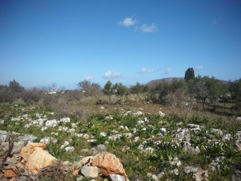 Litsarda Kreta, Litsarda: Großes Baugrundstück mit offenem Meer- und Bergblick zu verkaufen Grundstück kaufen